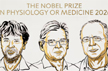 Nobel medicine prize goes to 3 scientists for research into brain activity